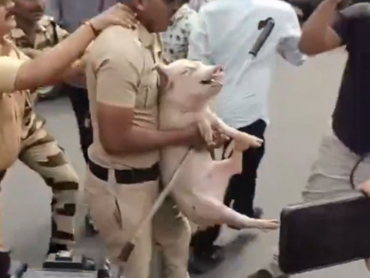 बक्रिद को लेकर भडक उठा युवक, सोसाइटी के गेट पर रख दिया सू/अर