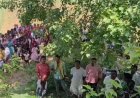 जमुई न्यूज़: नीम के पेड़ से युवक का शव लटका मिला, जांच में जुटी पुलिस