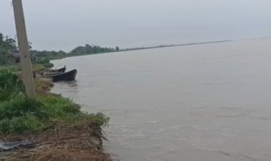 बिहार का शोक ​कोसी का रौद्र रूप: नेपाल में बारिश से बढ़ा जलस्तर, उजड़ने लगे तटबंध के अंदर बसे गांव, पलायन को मजबूर लोग